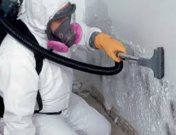 Best Real Estate Mold Inspection  in Avenal, CA